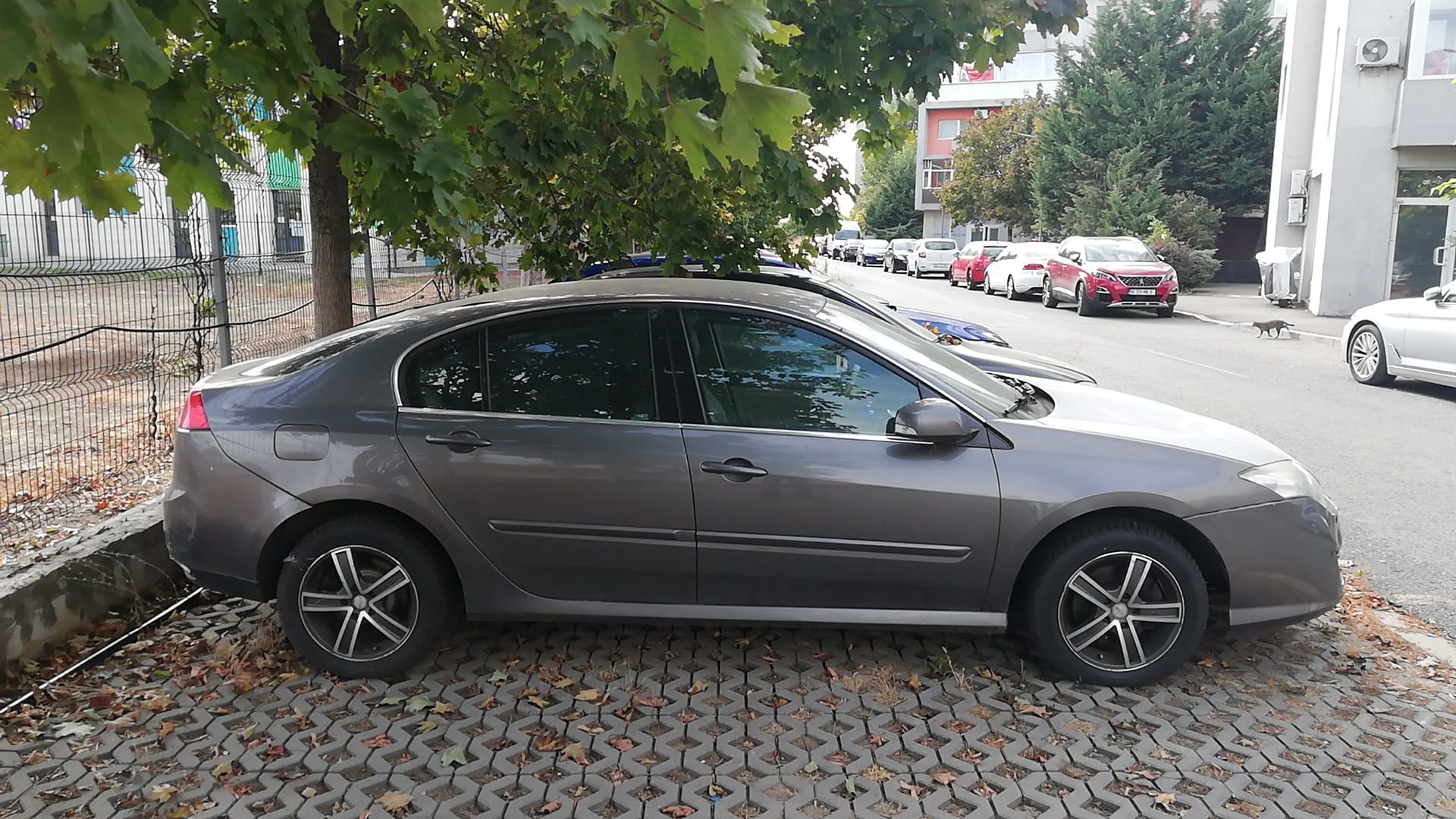 car
